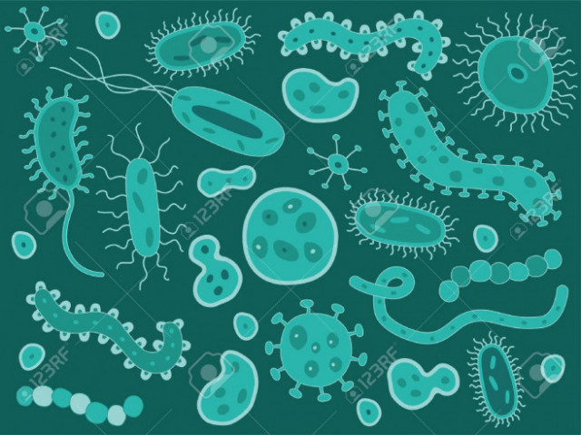 Къде е раят за микробите?