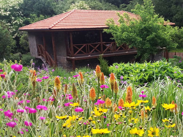 Ботаническа градина на село: съживяват ли се селата у нас