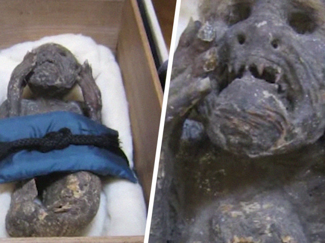 Японски учени изследват мумифицирана "русалка", открита през XVIII век