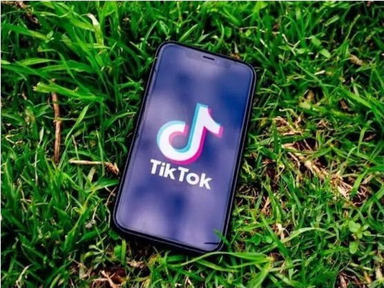 В TikTok започнаха да публикуват видеорезюмета за работодатели