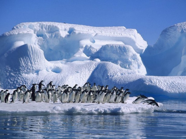 Намериха „най-горещата“ точка на Антарктида