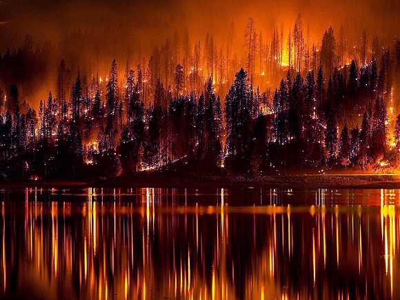 Главните заплахи за човечеството са горските пожари и шумовото замърсяване