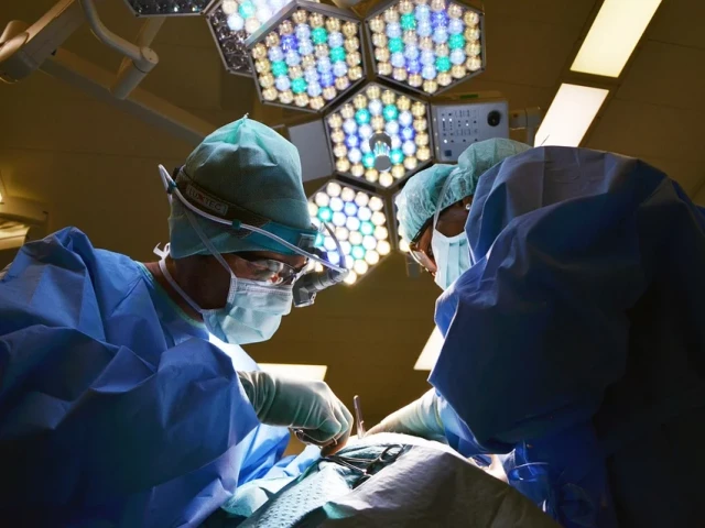 Свински бъбрек за пръв път бе трансплантиран на човек