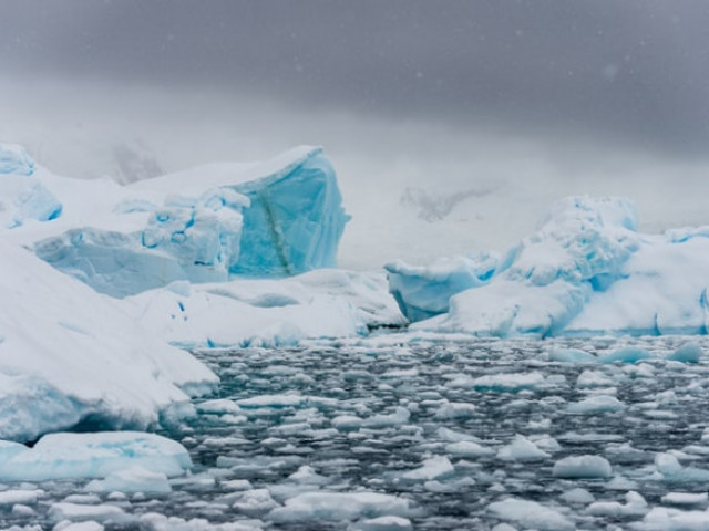 Промяната на климата озеленява части от Антарктида, твърдят учени