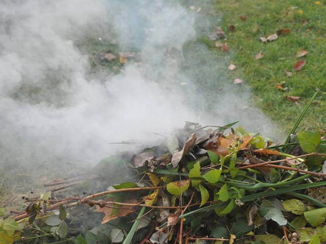 Димът от горящата шума срива защитата на белите дробове