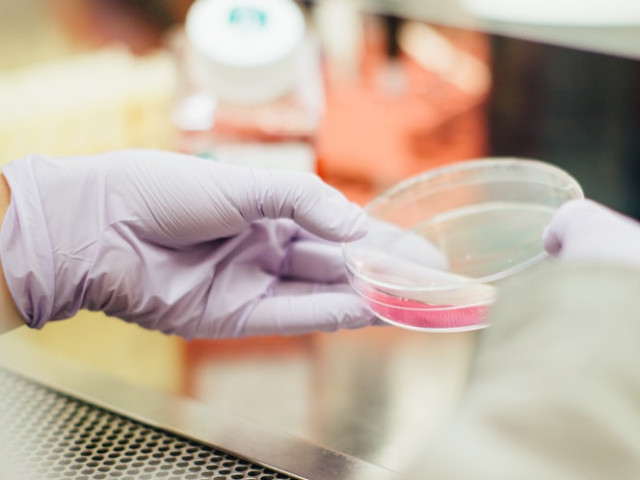 FDA разрешава нов тест, определящ количеството на Covid-19 антитела