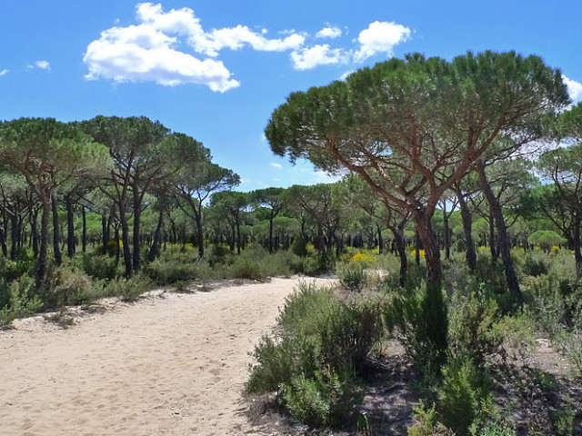Андалусия: Иберийско сафари в националния парк Доняна