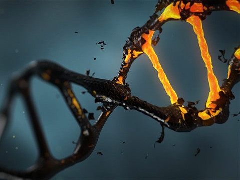 Учени откриха в почвата фрагменти от ДНК с неизвестен произход