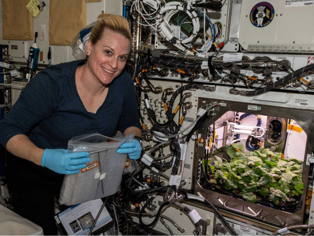 Космически люти чушки похапват на Международната космическа станция