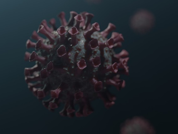 Открита е мутацията на коронавируса, с която е започнало заразяването на хора