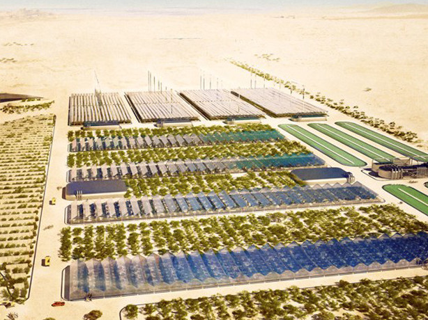 Нова технология превръща пустините в плодородна земя