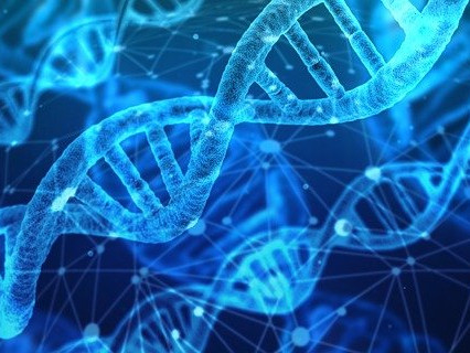 21 260 млн. $ ще стигне пазарът за генетично тестване до 2027