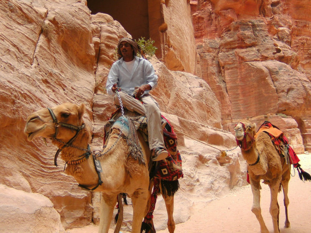Туризмът в Йордания поставен на колене, животните в Петра гладуват