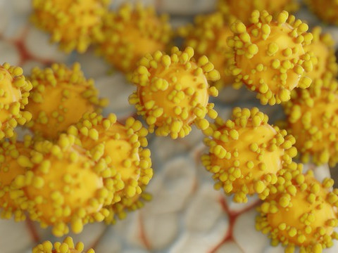 Да не се изключва версията за изтичане на коронавируса от лаборатория, предложи СЗО