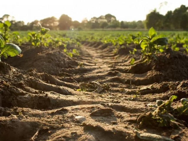 Учени предупредиха за стремителна деградация на почвата в Европа