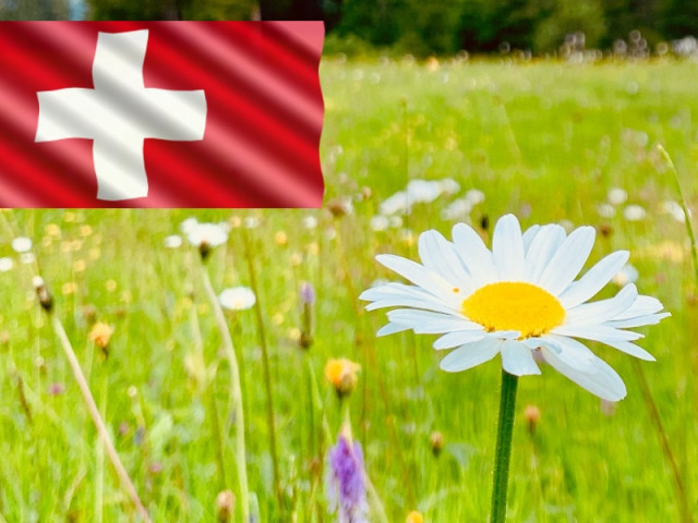 Швейцария е първата европейска държава, която забранява синтетичните пестициди