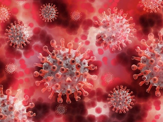 САЩ вече имат доклад за произхода на коронавируса