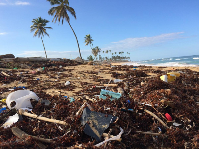 Еколози смятат Coca-Cola за главна причина за "умирането" на плажовете