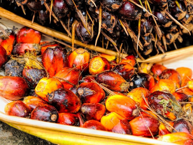 Вредите от палмовото масло и възможните алтернативи