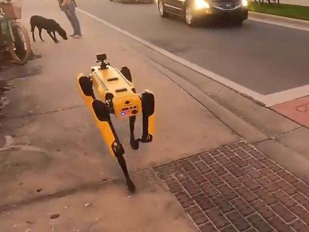 "Кучетата" на Boston Dynamics излязоха на разходка