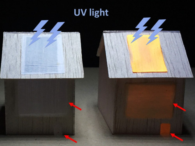 Луминесцентна дървесина ще осветява домовете на бъдещето