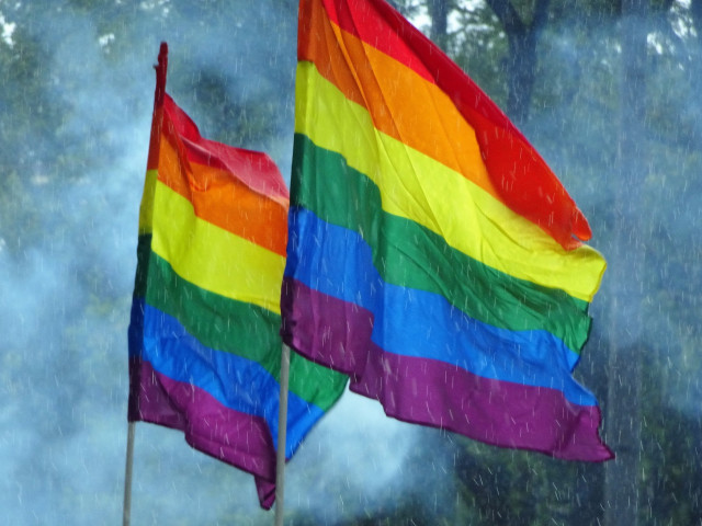 EК обмисля законодателство за признаване на еднополовите бракове в ЕС