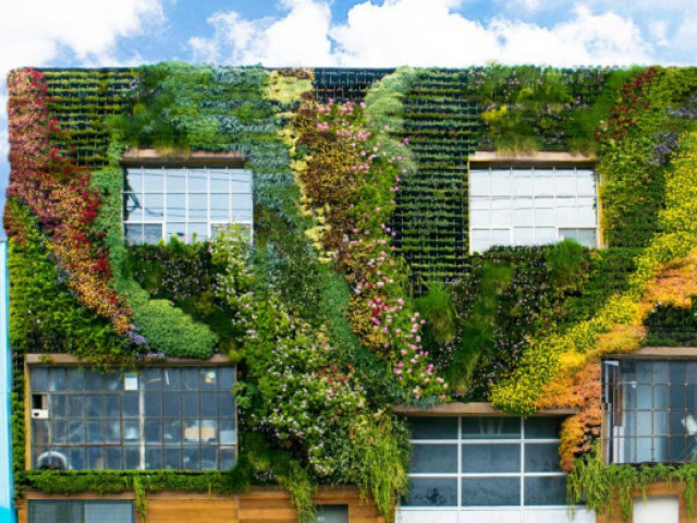 Как зелени фасади могат да помогнат в борбата със замърсяването на въздуха