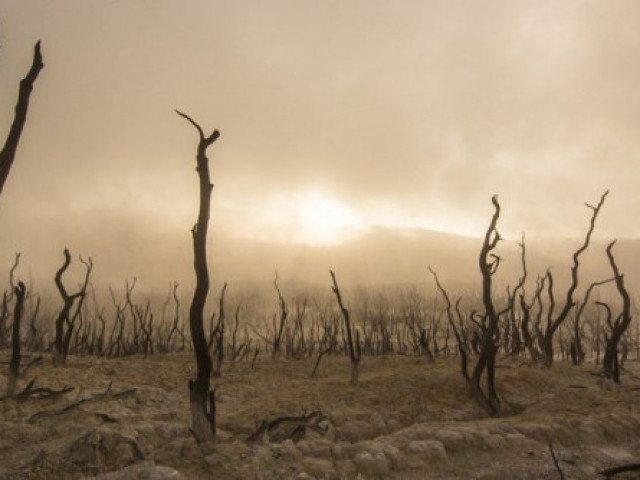 Към 2070 г. 3,5 милиарда човека ще страдат от непоносима горещина