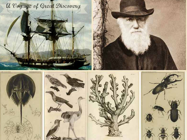 Какво всъщност е открил Чарлз Дарвин