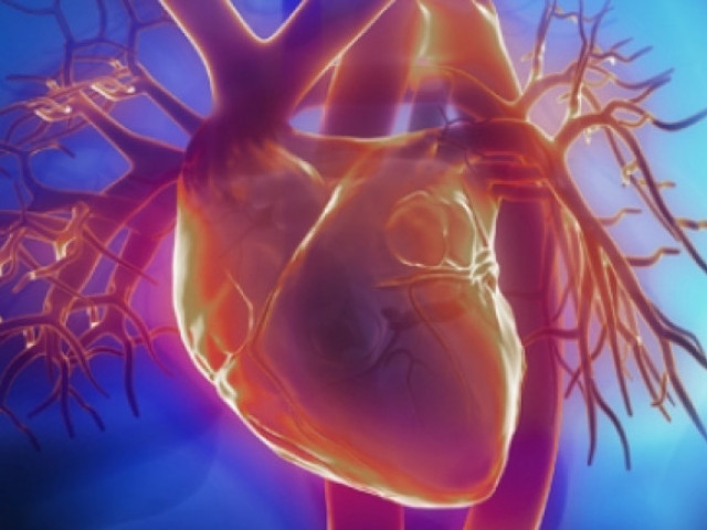За пръв път създадоха миниатюрно сърце в лабораторни условия