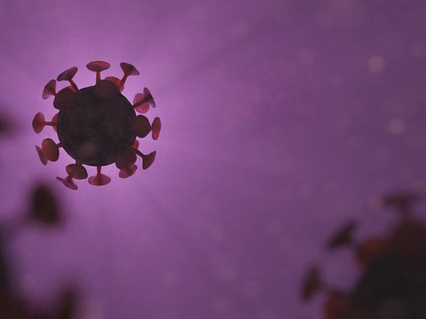 Aнтителата срещу коронавирус се запазват поне девет месеца