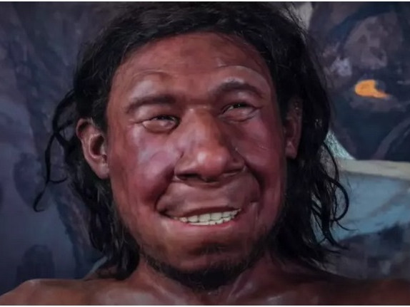 Възстановиха външността на единствения неандерталец от Нидерландия