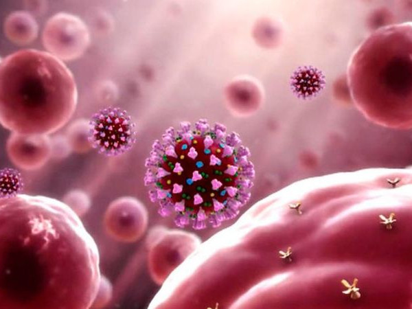 Коронавирусът се научи да заобикаля антителата
