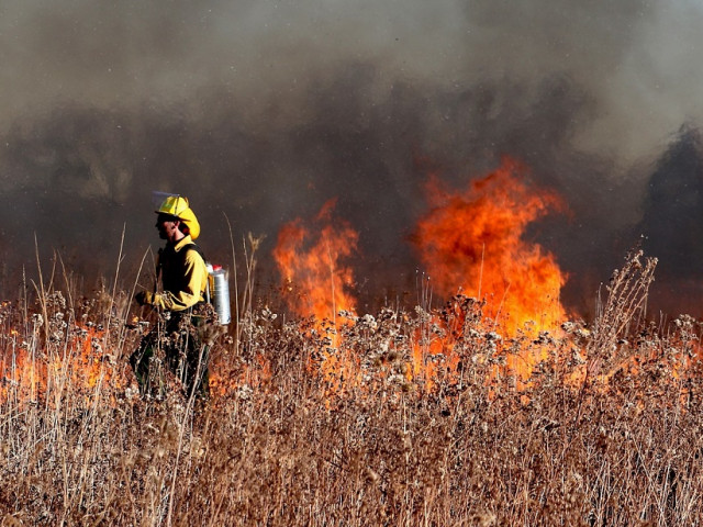 Горските пожари, а не пандемичните блокировки, са повлияли на климата през 2020 г.