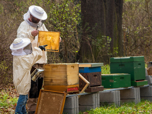 До края на месеца пчелари и фермери се регистрират в ЕПОРДД